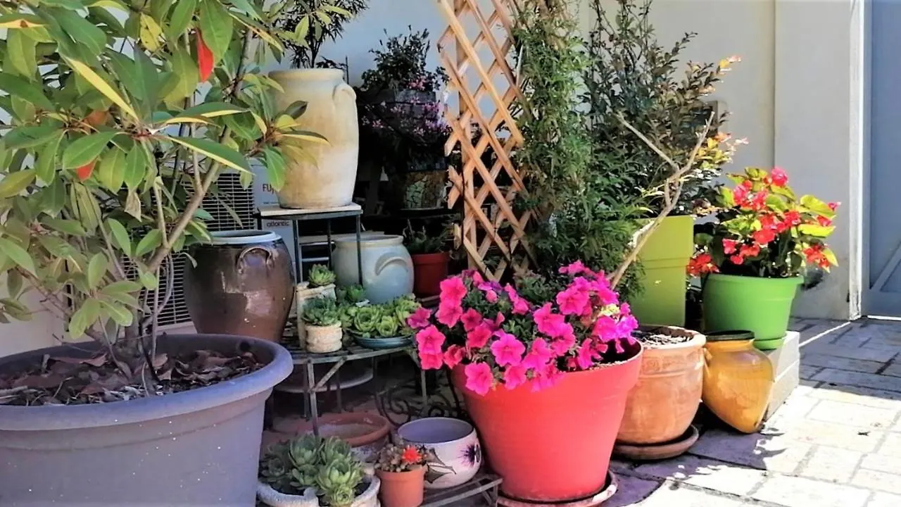 Appartement Gite Le Micocoulier Valréas
